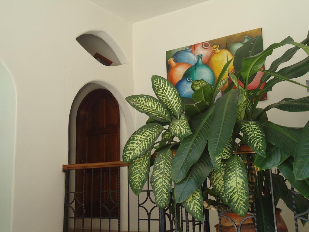 Hotel Cordelia'S Puerto Ángel エクステリア 写真